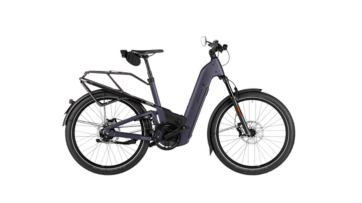 Factory Order - Riese & Müller Homage5