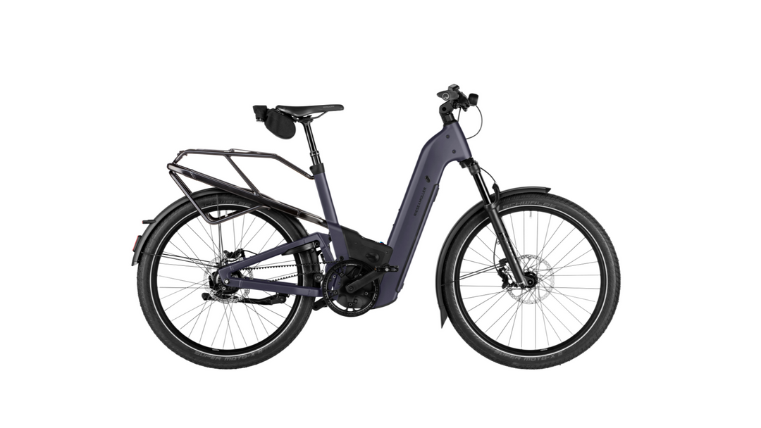 Factory Order - Riese & Müller Homage5