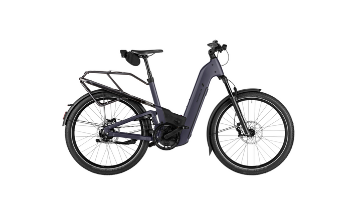 Factory Order - Riese & Müller Homage5