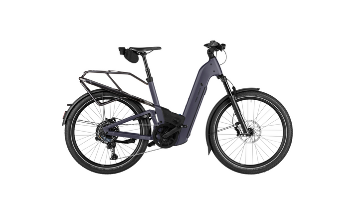 Factory Order - Riese & Müller Homage5