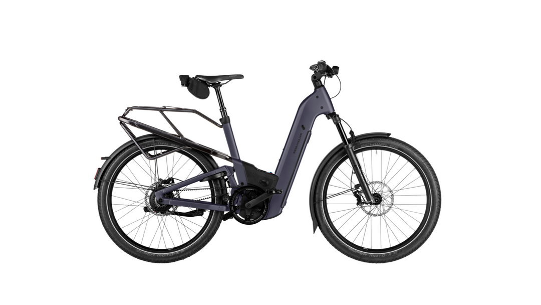 Factory Order - Riese & Müller Homage5