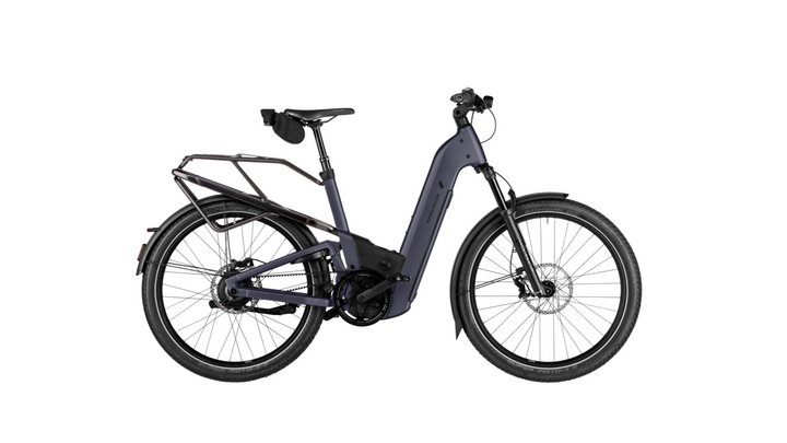 Factory Order - Riese & Müller Homage5