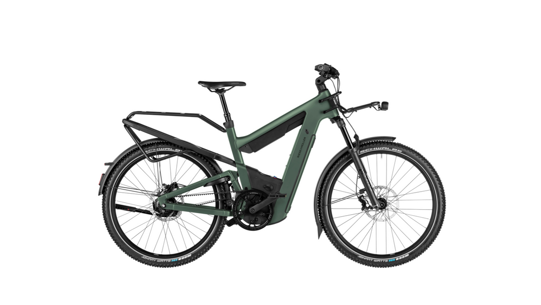 Superdelite5 Rohloff, 56cm (x-large), Moss – ebikeist