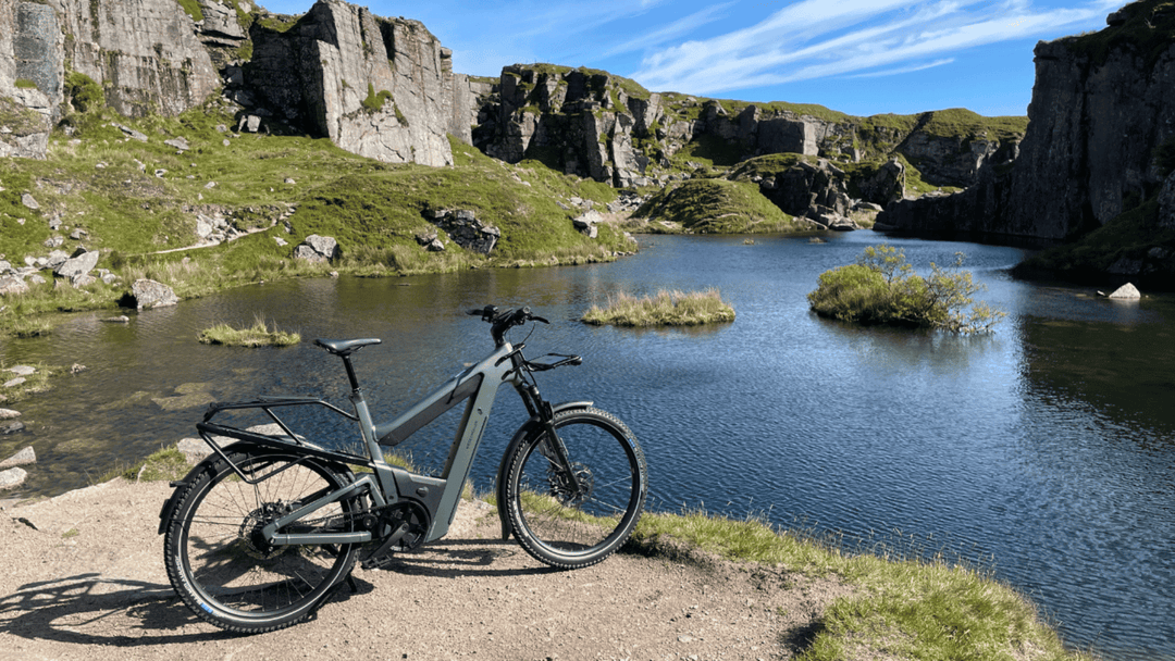 Superdelite5 Rohloff, 51cm, Moss