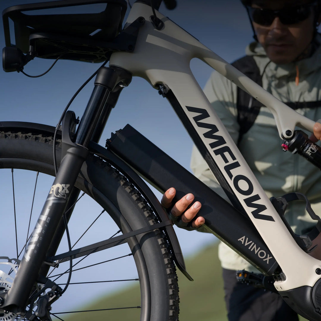 Amflow TL Carbon