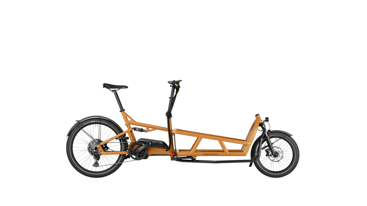 Factory Order - Riese & Müller Load5