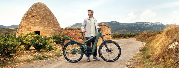 Factory Order - Riese & Müller Superdelite5