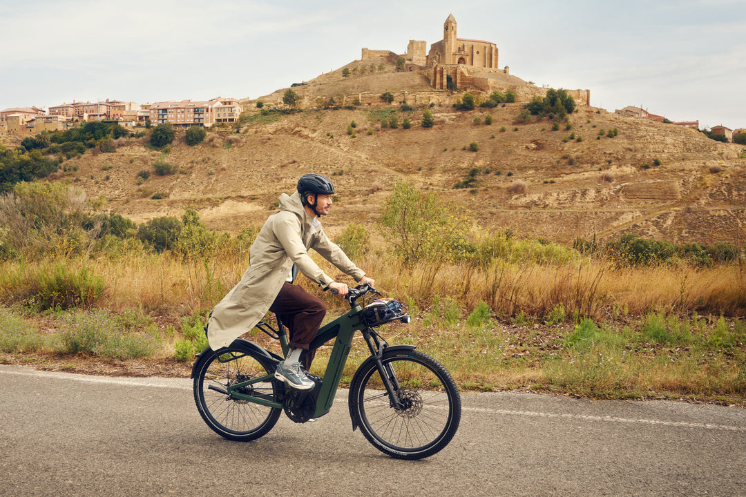 Factory Order - Riese & Müller Superdelite5