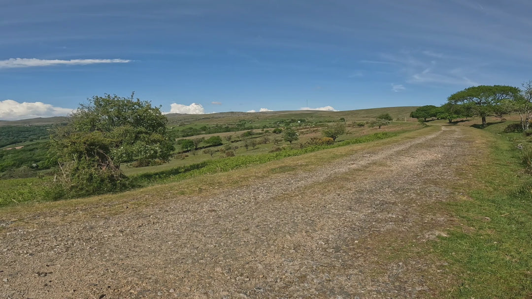 Factory Order - Riese & Müller Superdelite5