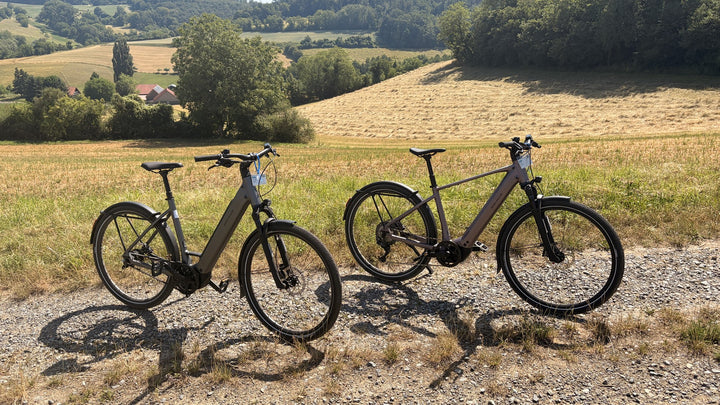 Riese &amp; Müller Veya